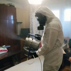Дезинфекция от клопов в Шарье