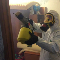 Уничтожение клопов в квартире. Шарья